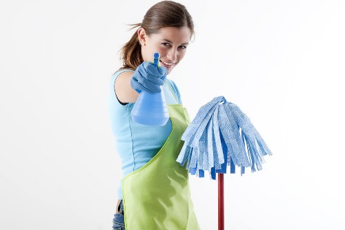 Secure payment screen for Leyton Carpet Cleaners