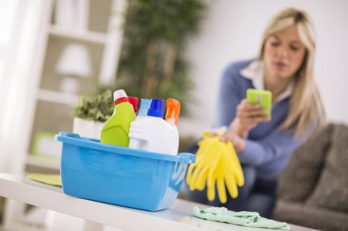 Delicate rug and fabric stain treatment in Leyton
